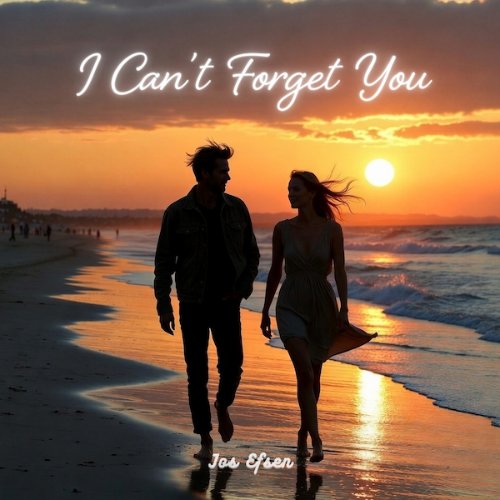 I Can't Forget You